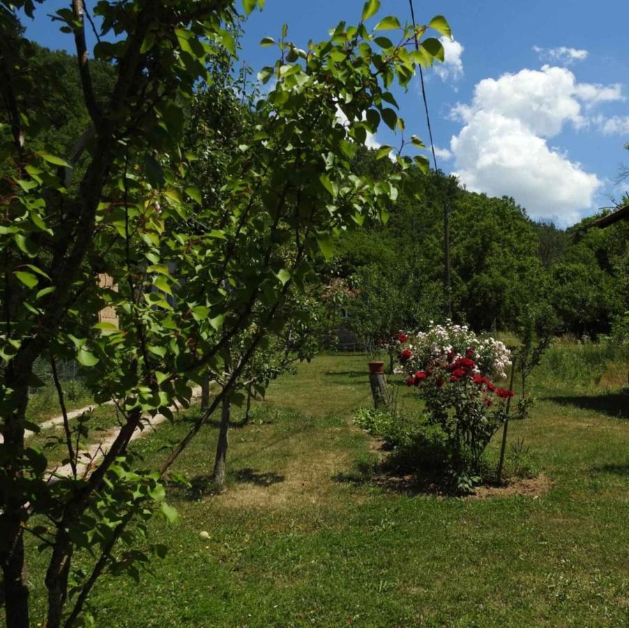 Omar & Una Apartmani Bihac Luaran gambar