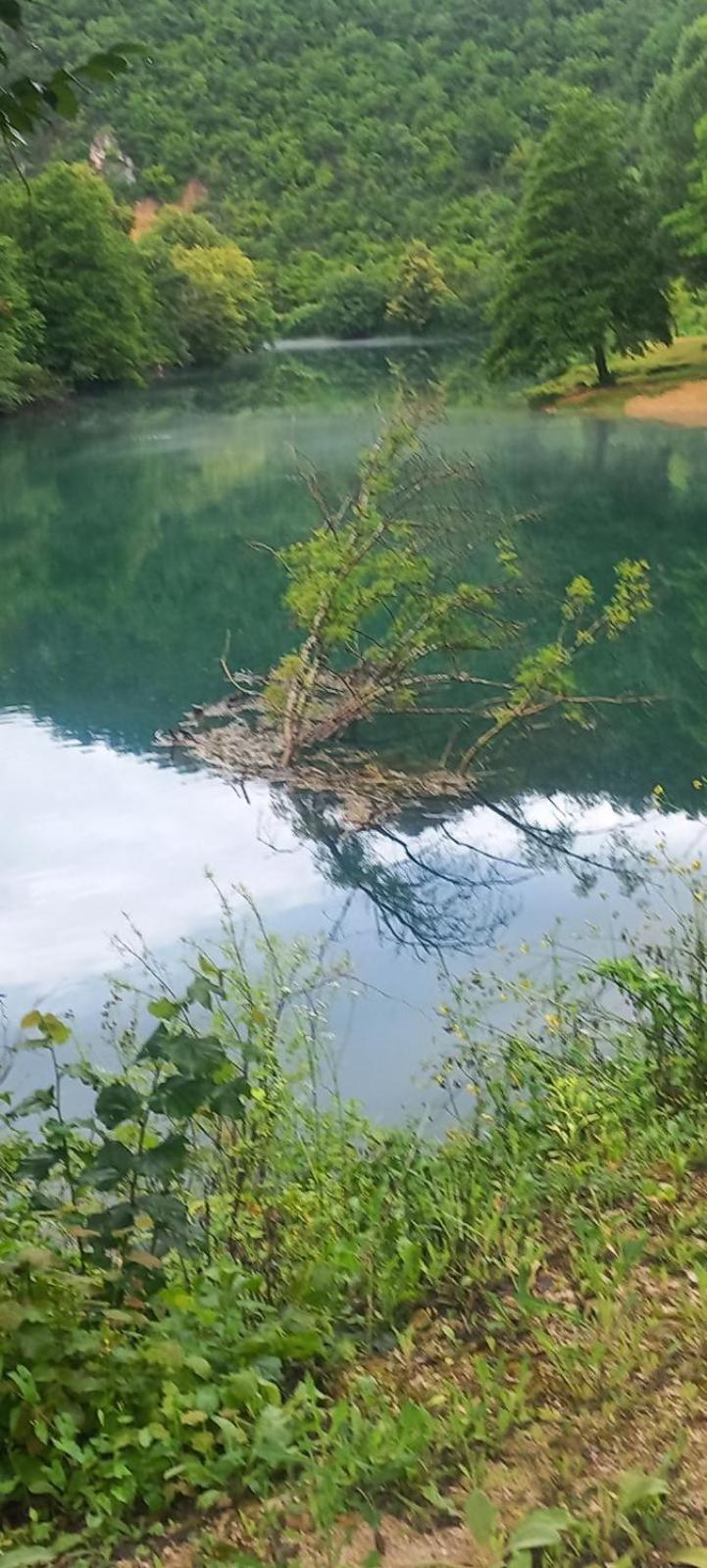 Omar & Una Apartmani Bihac Luaran gambar